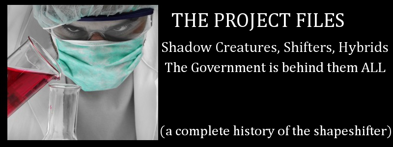 The Project Files The Project Files